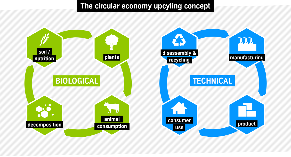 Cradle-to-Cradle circular economy upcycling process