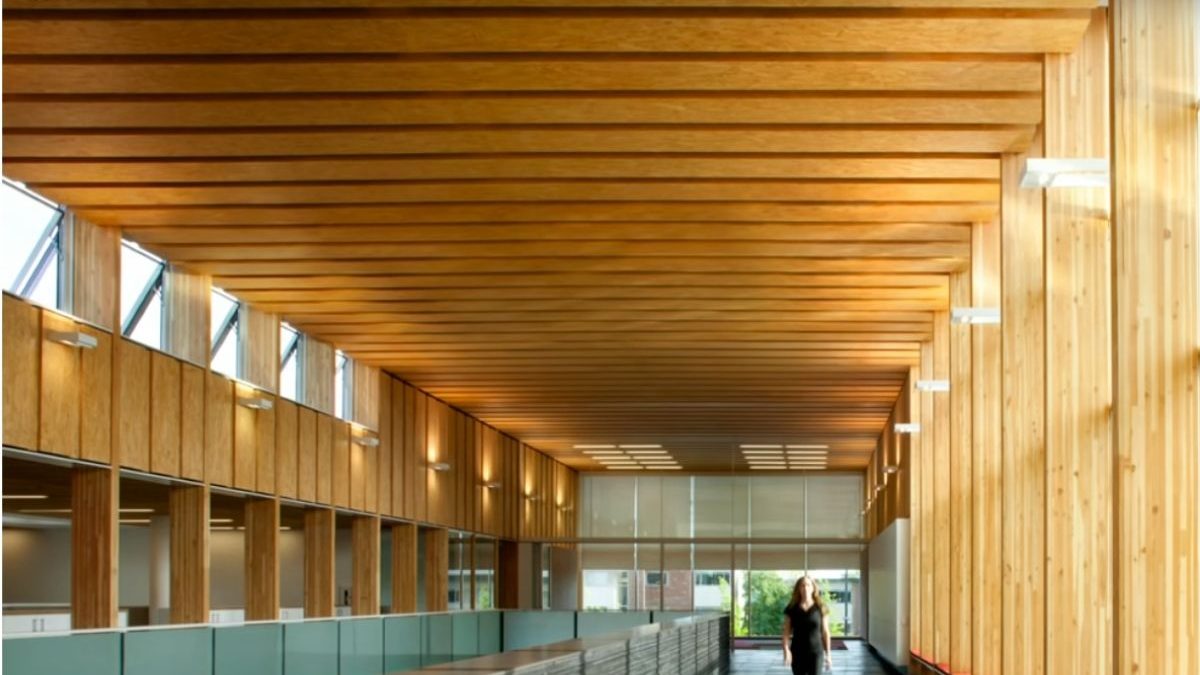 Source: Michael Green of Michael Green Architecture in a TED Talk