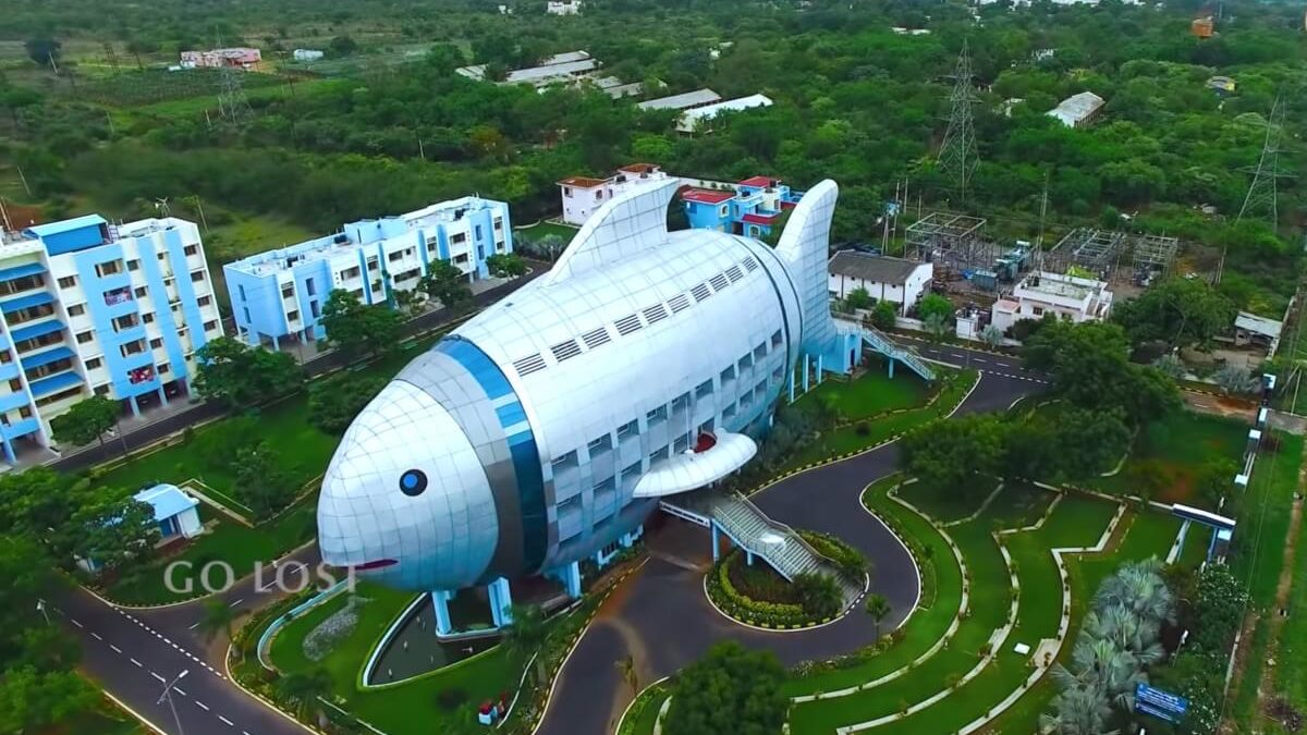 Fish Building