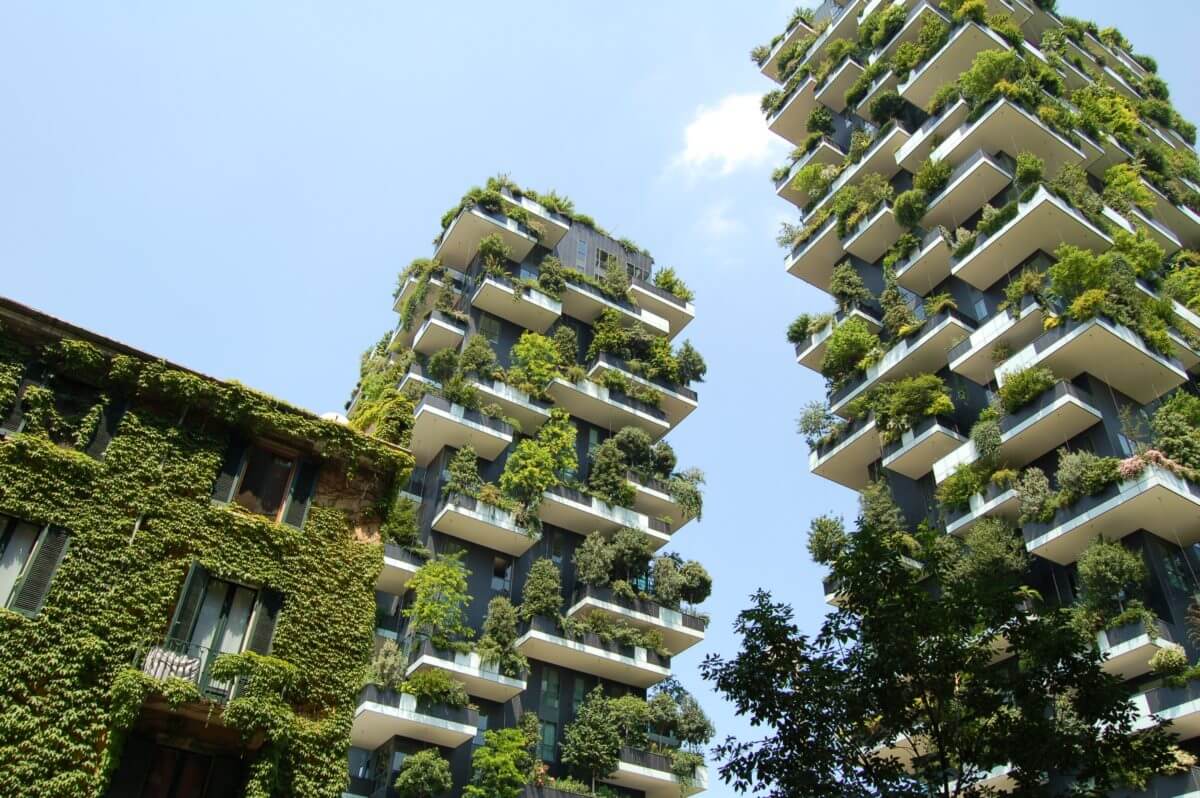 Green Wall Building
