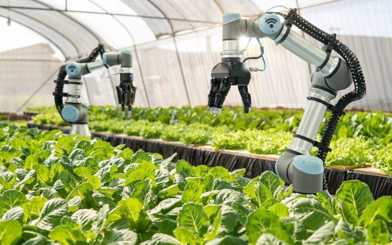 Robots Agruculture